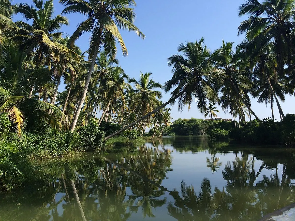 Mad About Coco Yoga & Beach Retreat Varkala Hotel
